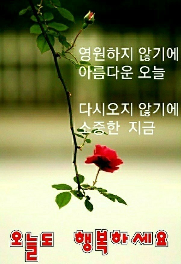 행복한날 이미지