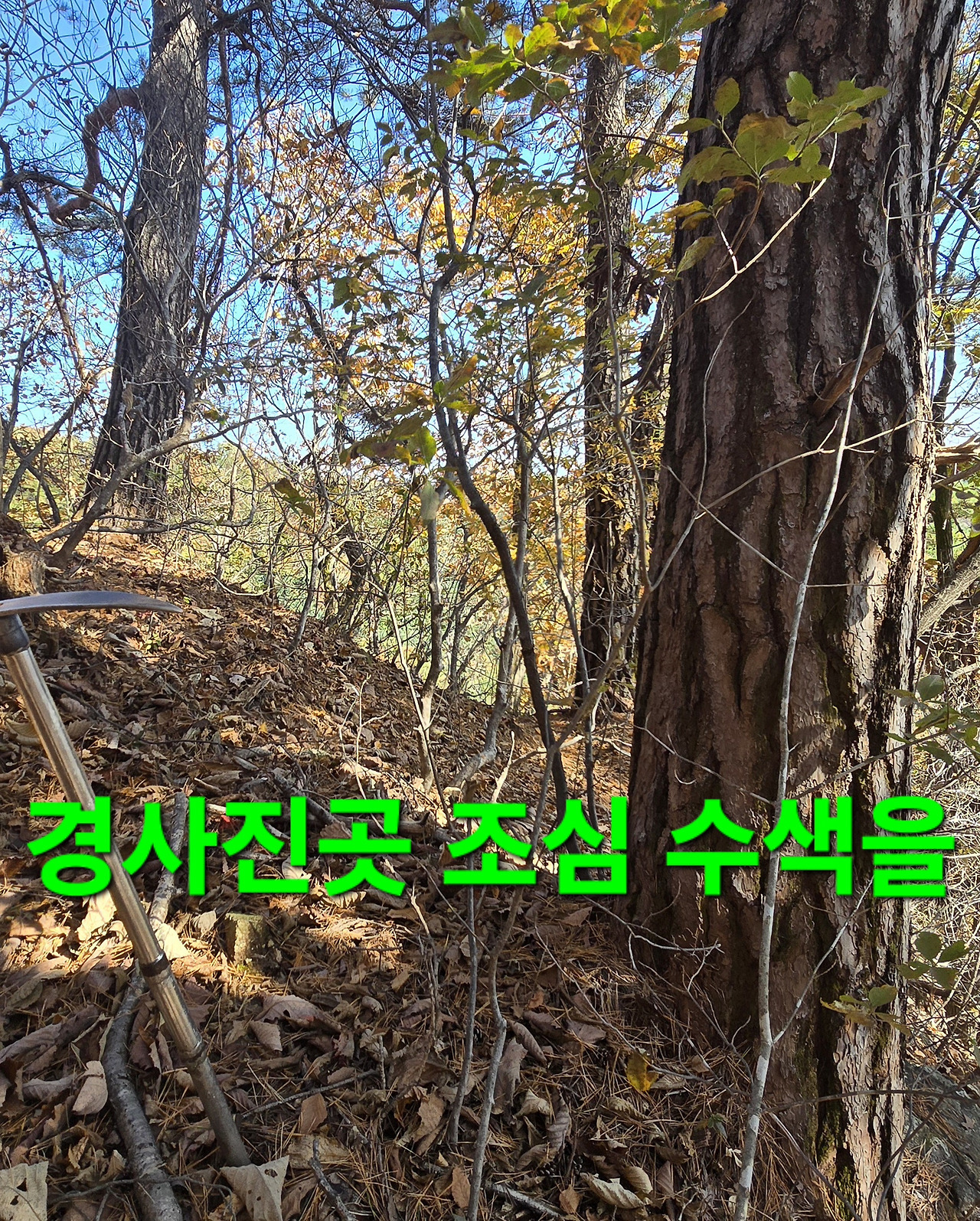 윈풀 이미지