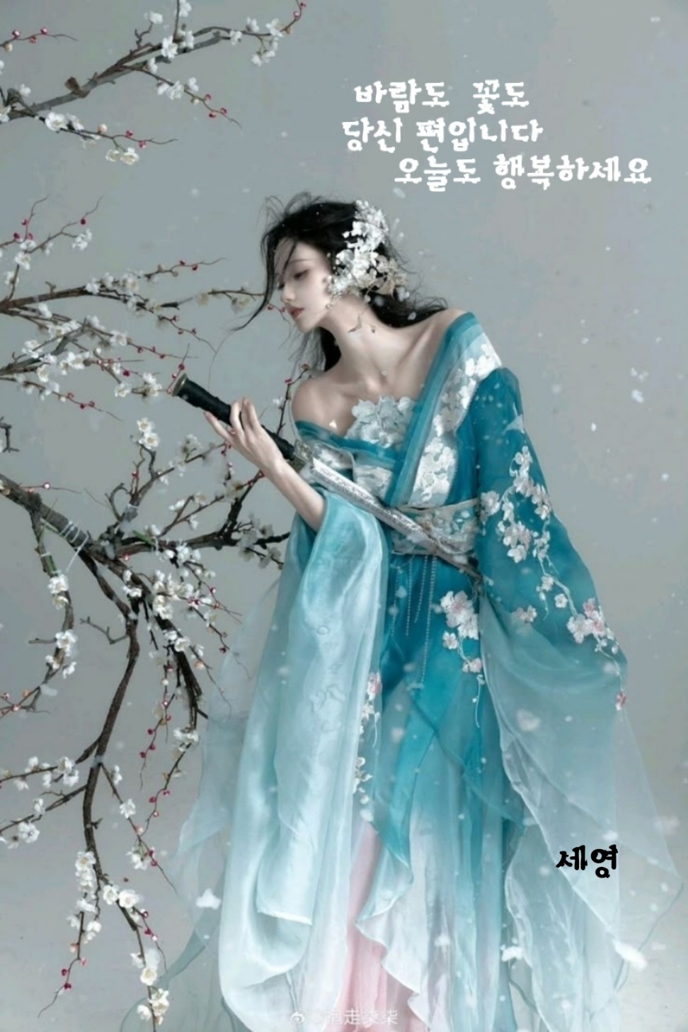 꽃피는봄날 이미지