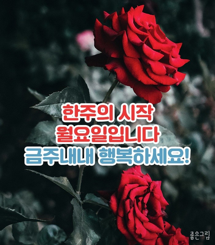멋진하루 이미지
