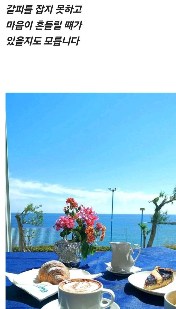 바다좋은 이미지
