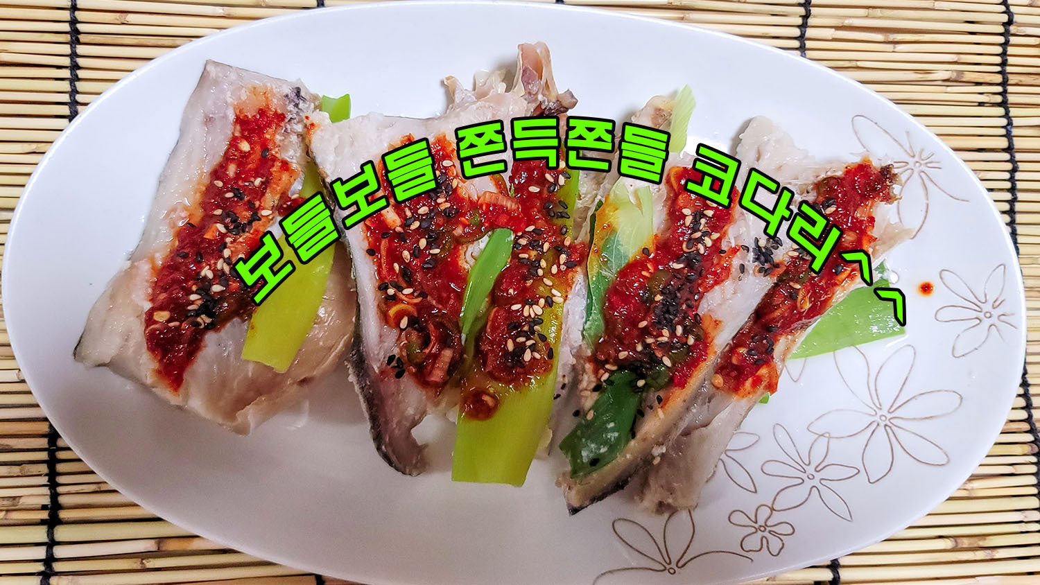 이것이코다리다 이미지