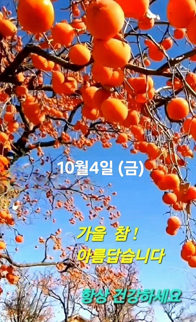 오늘도;빛나 이미지