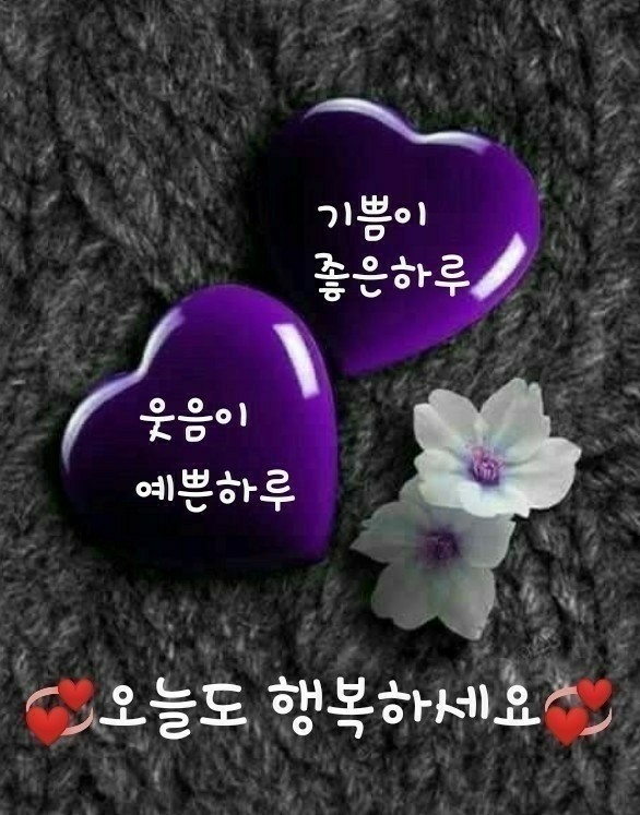 빨래하는날 이미지