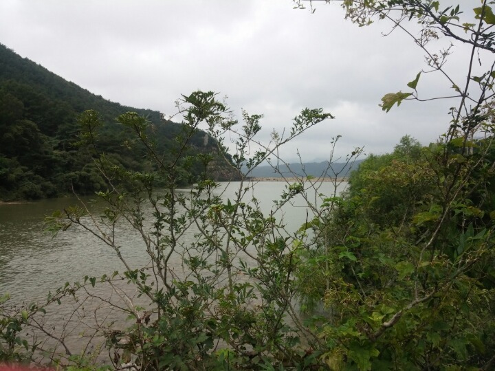 산들바람 이미지