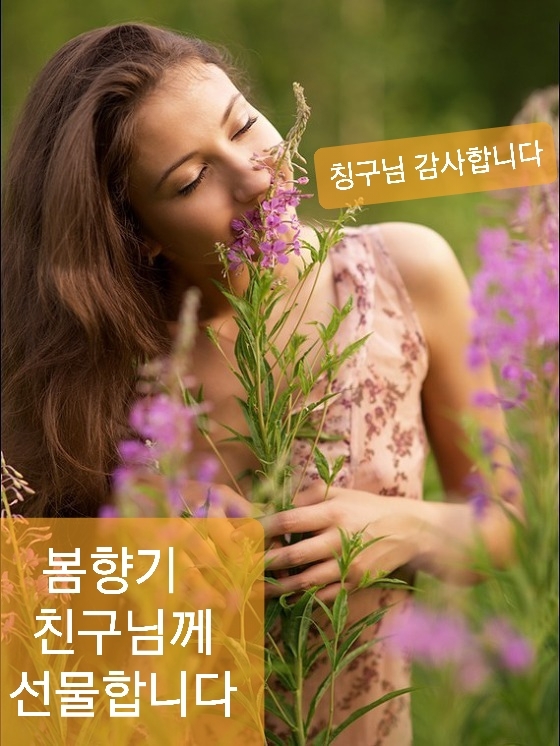 꽃피는하루 이미지
