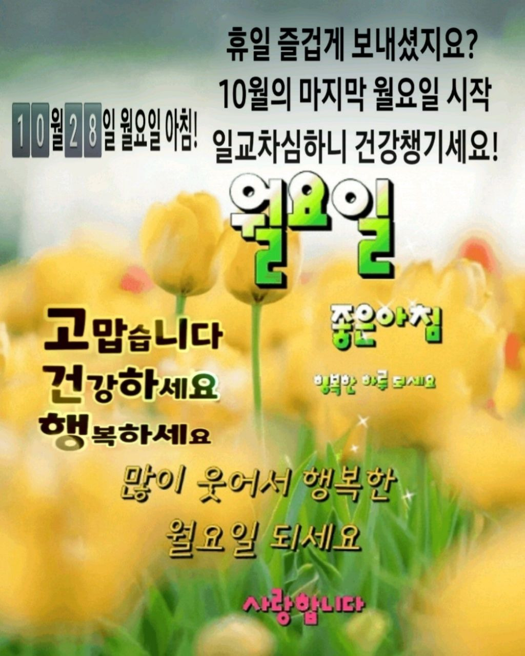 10월의 마지막 월요일 일교차 심하니 건강 챙기세요 / 인사 드립니다 - 📷예쁜글움짤이미지(gif) - 💜산야와 한울타리💜