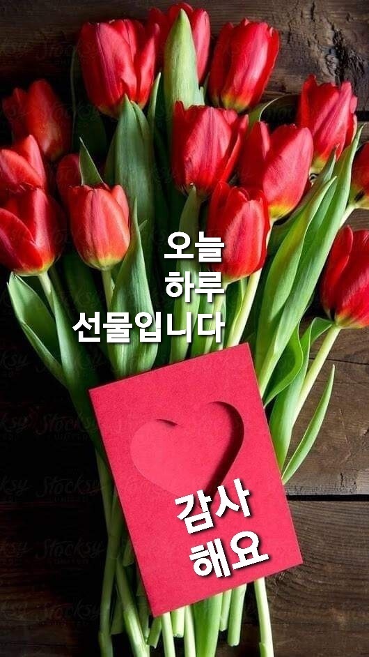 예쁜하루 이미지