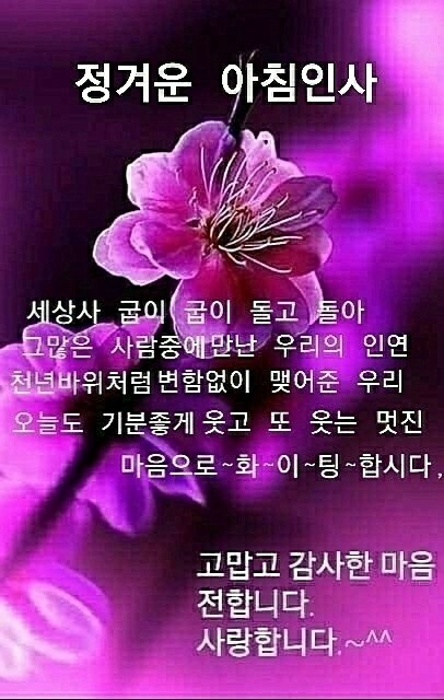 꽃피는하루 이미지