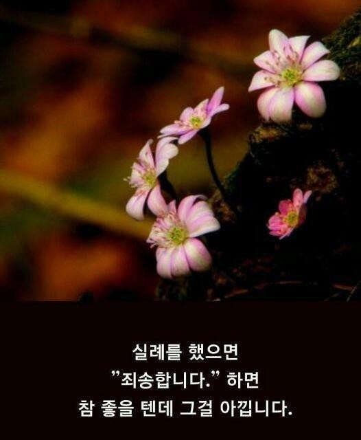 오늘은 이미지