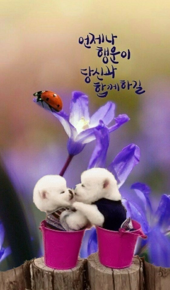 봄소리 이미지
