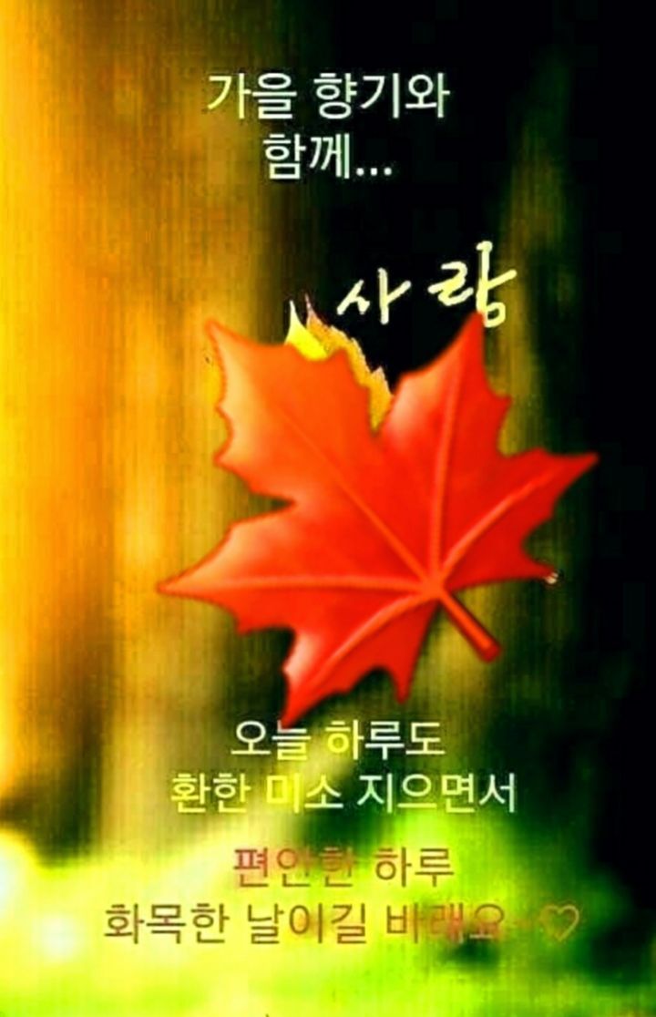 꽃과생활 이미지