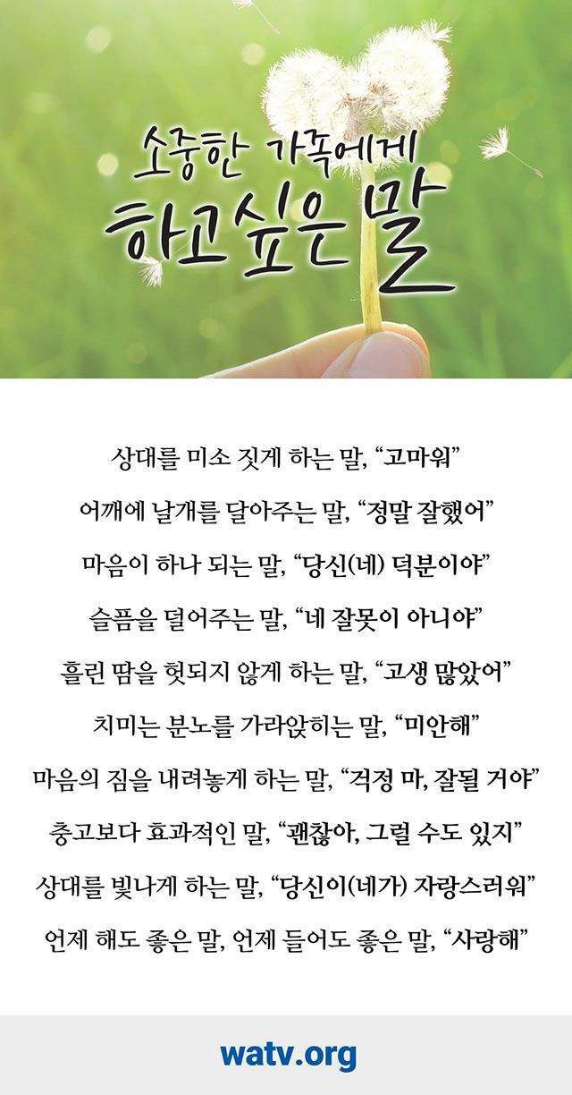꽃과생활 이미지