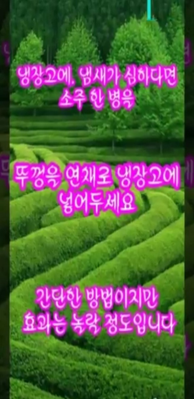 꽃과생활 이미지
