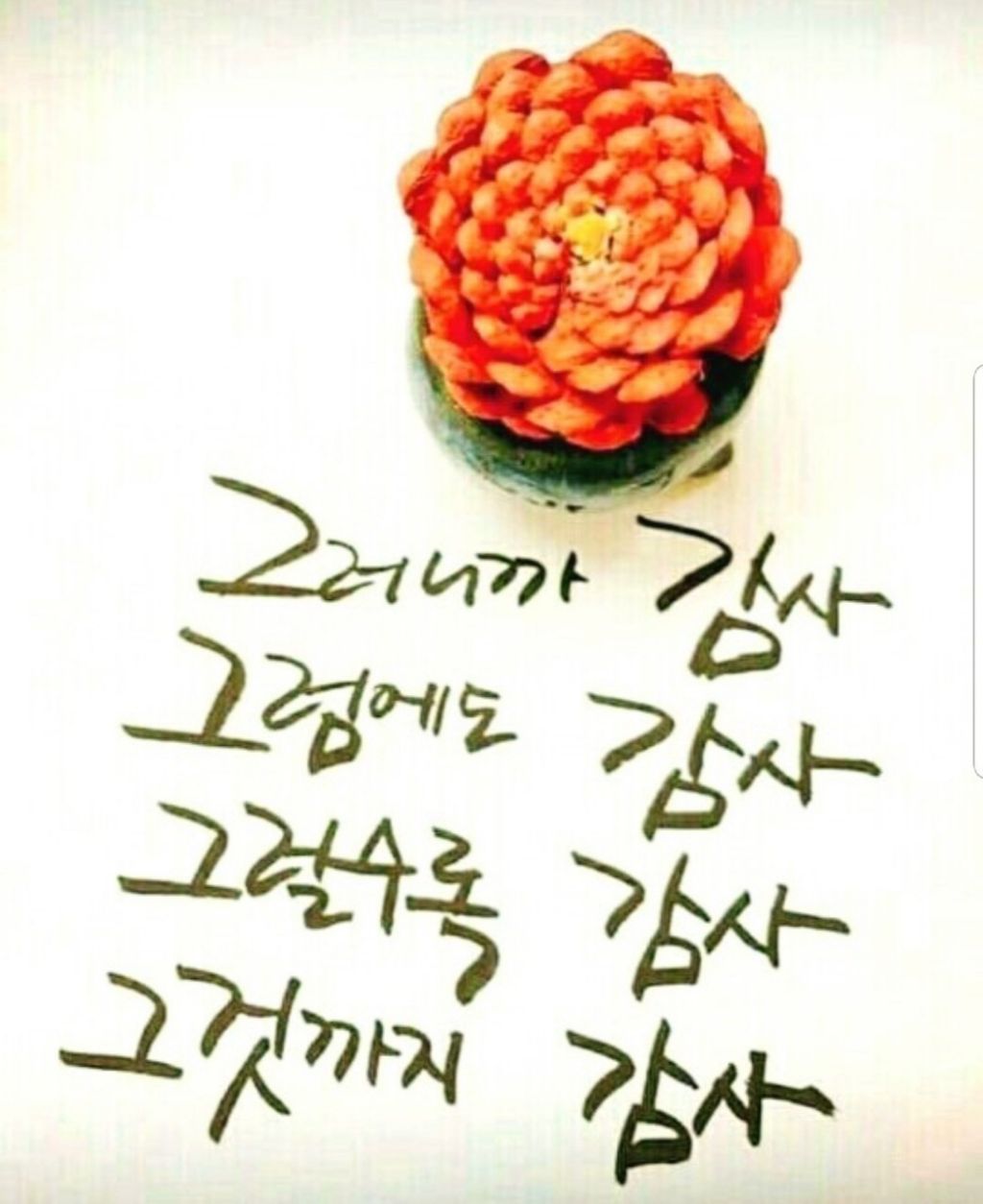 지혜로움 이미지