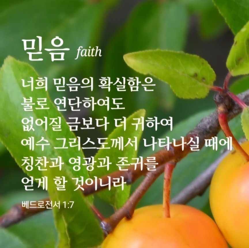 올곧은 이미지