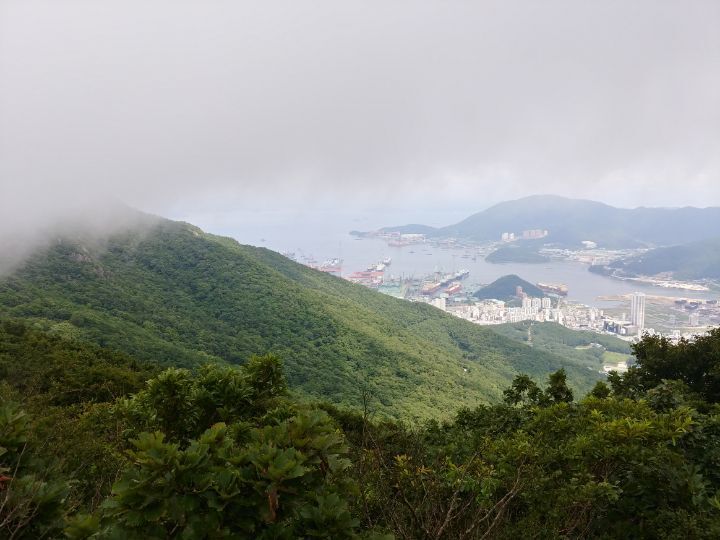 모노라인 이미지