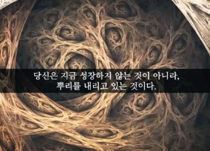 오늘,지금 이미지