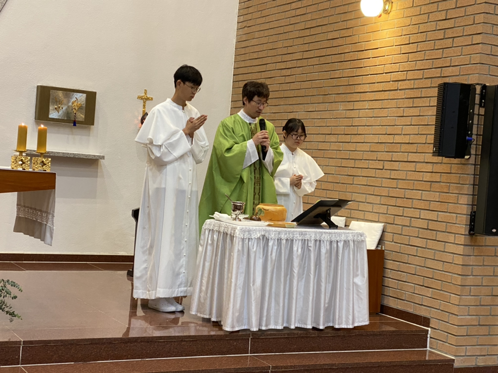 Daum 카페