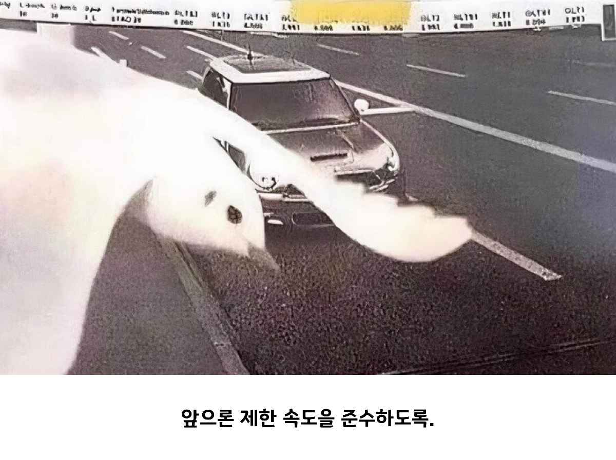 보답 이미지