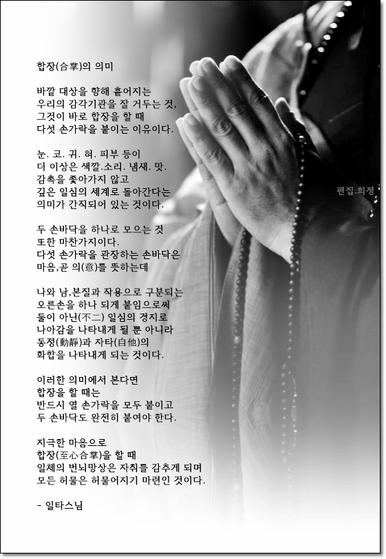 Daum 카페