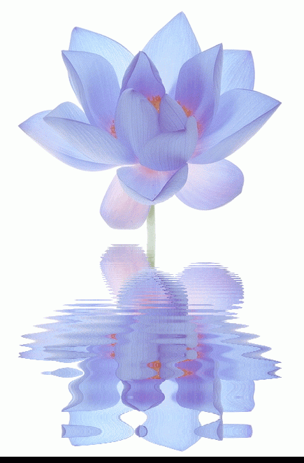 참뼈 이미지