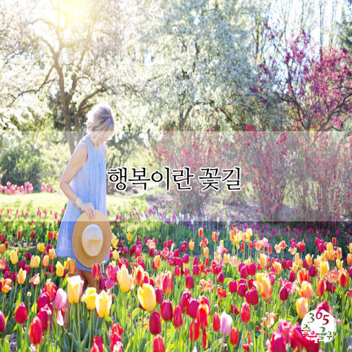 꽃길 이미지
