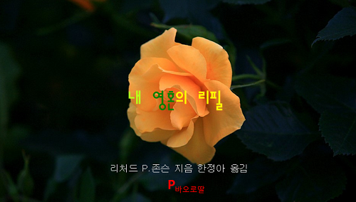 인생 리뷰