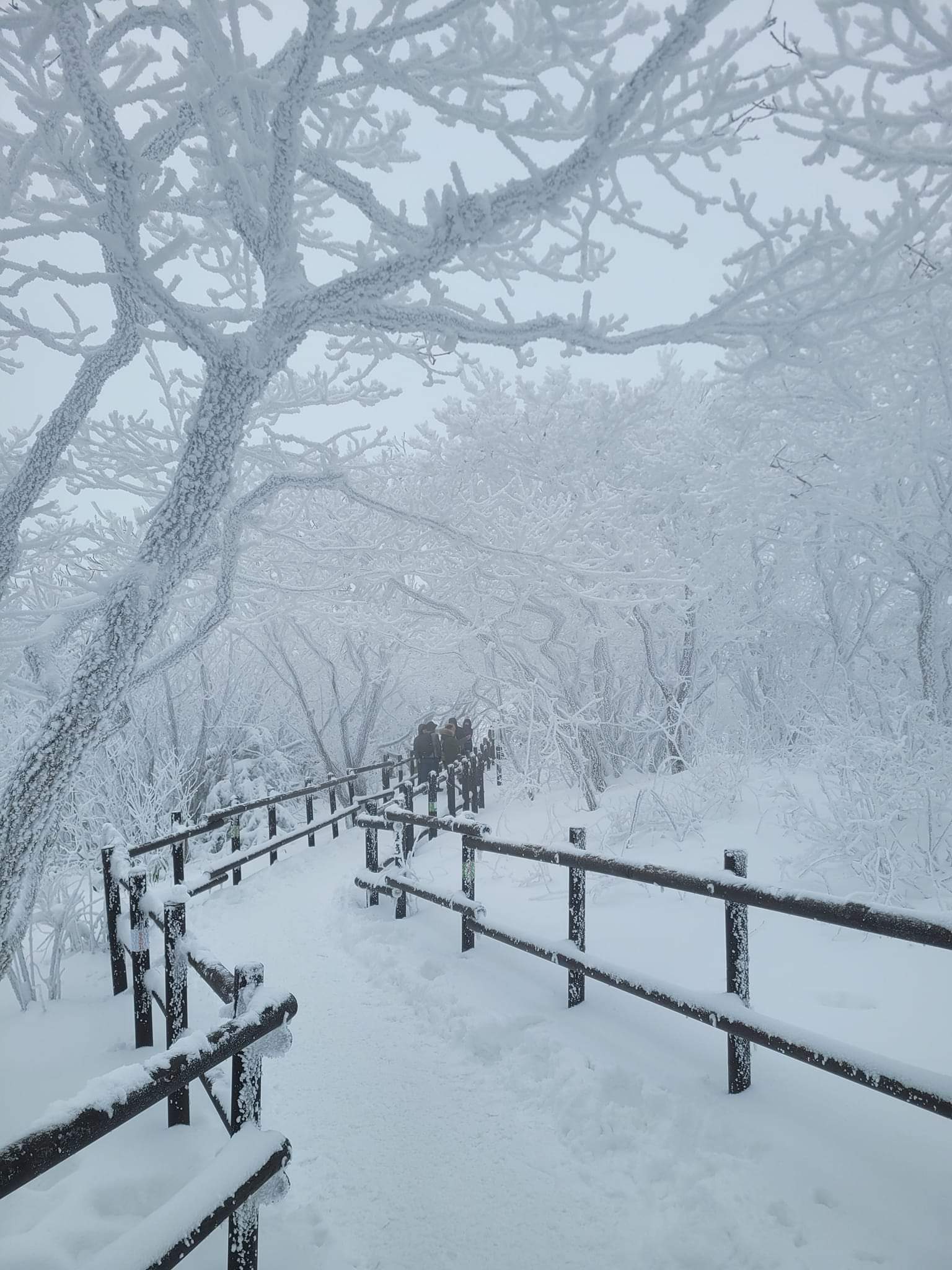 명작 이미지
