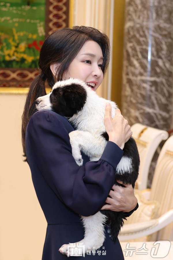 다 이미지