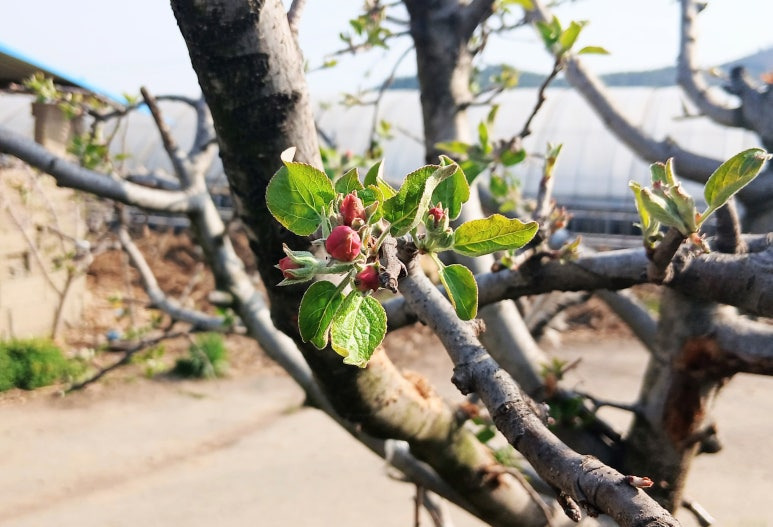 29db6c9685a9ade4e9ab2e7d26794e97a50e83e9