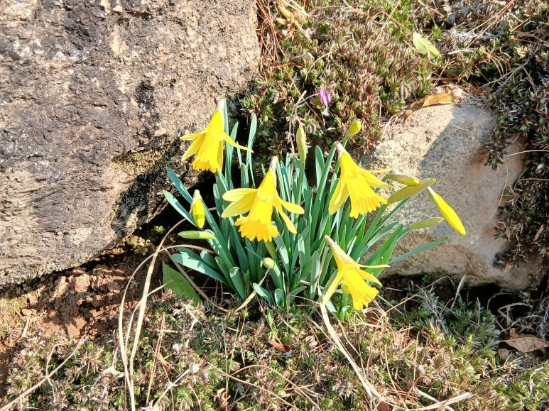 4ff9ad77892e591ade05ae3d3eabe9b3ce641949