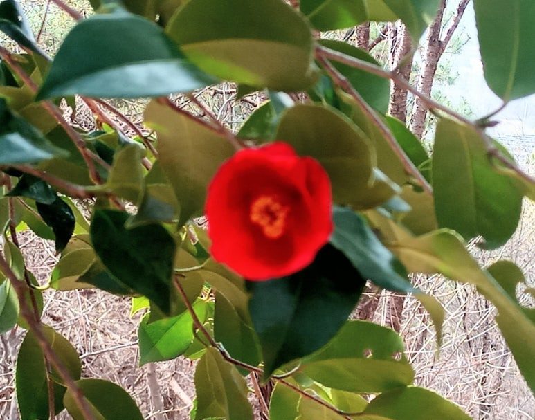 68f5b9f10d74eec334e7adad35684d0258bffcbb