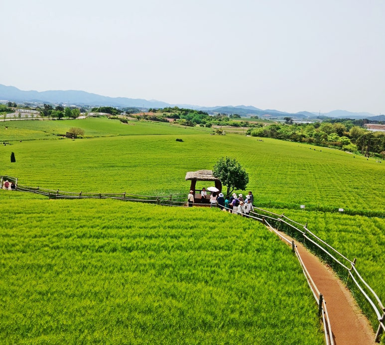 7aa65965210619843b2f6cf5daf4708b7af99c1a