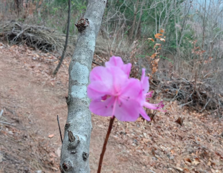 8ee711b6b1186971cfe459b1bc1f2aa0dfa32f65