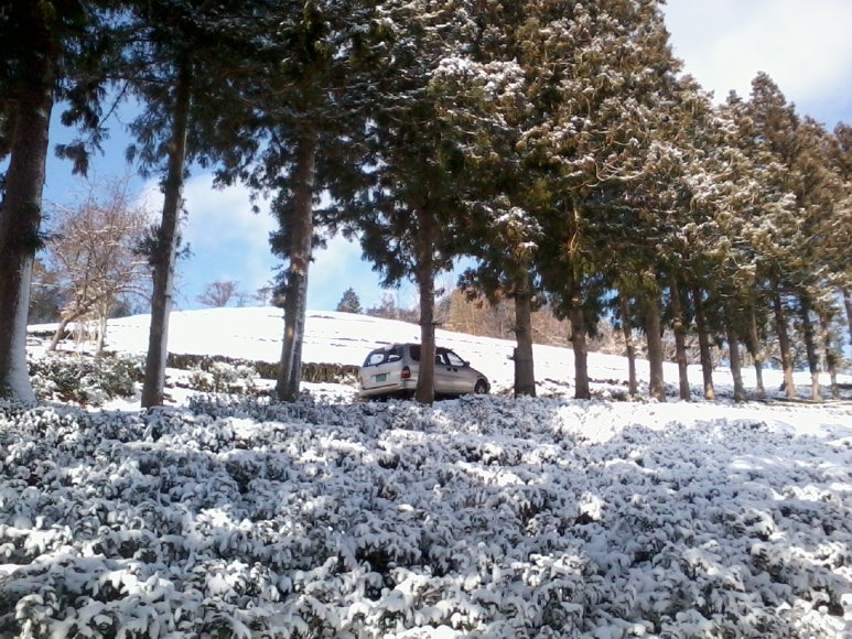 fca68c67612cb25c326f26636f81880ce60ba78c