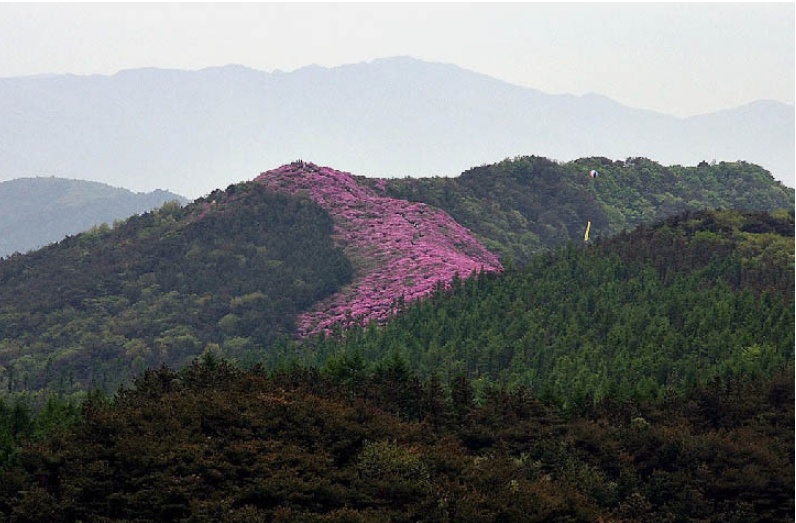 봉화산 이미지