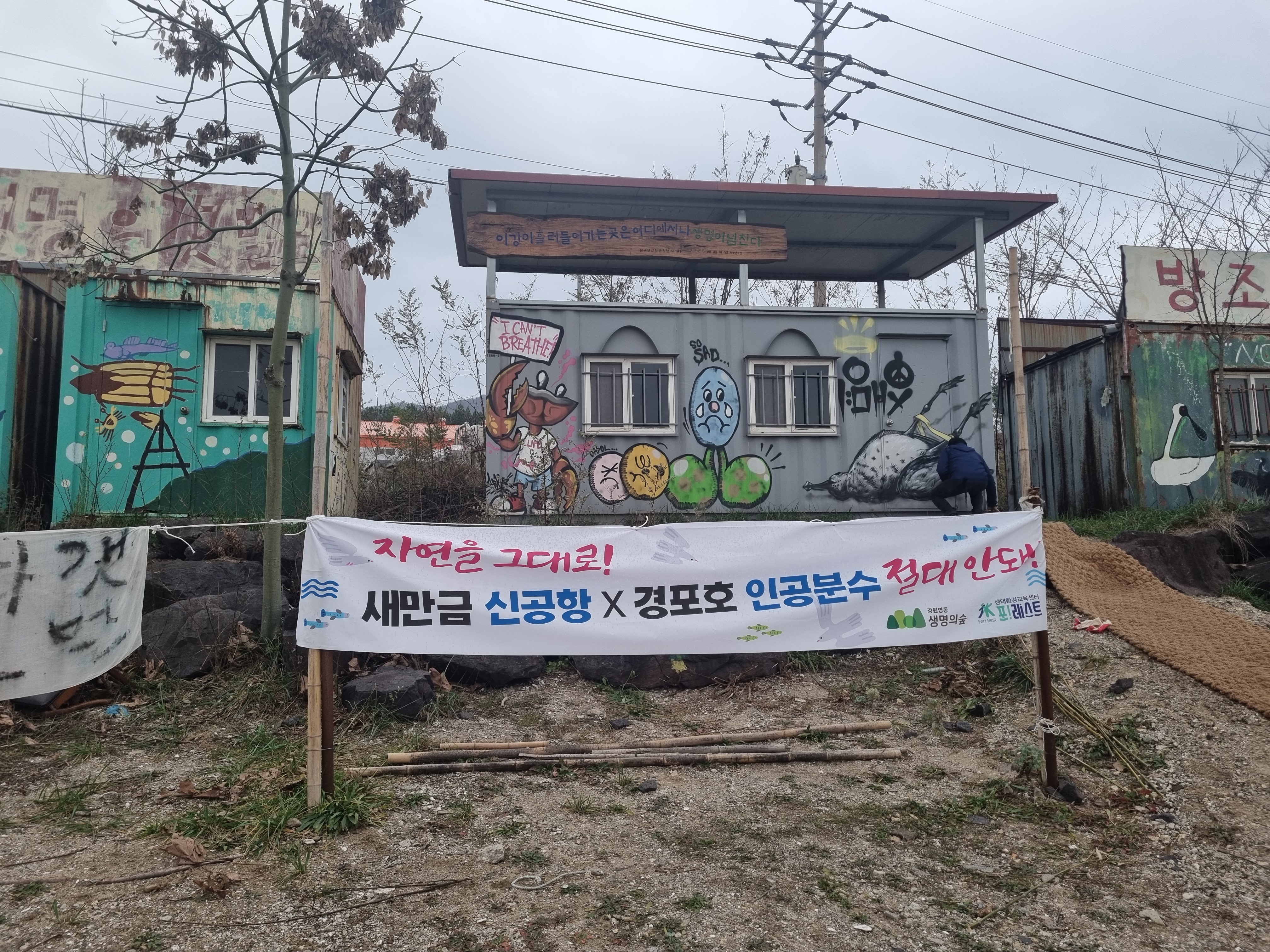 강릉포레스트 이미지