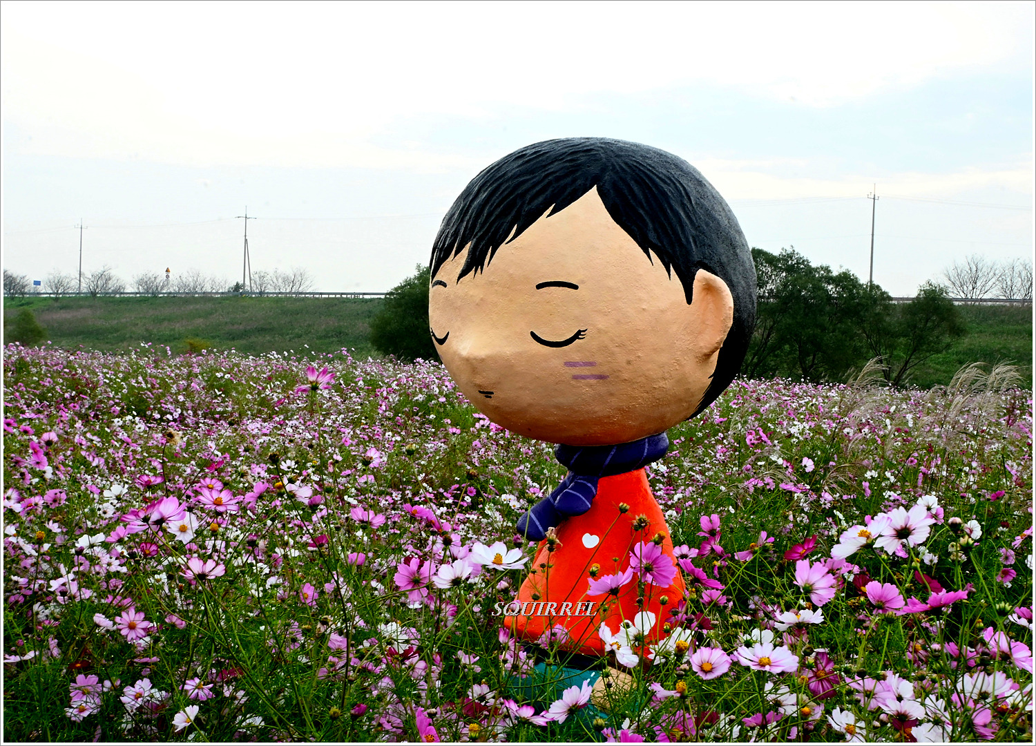 꽃단지 이미지