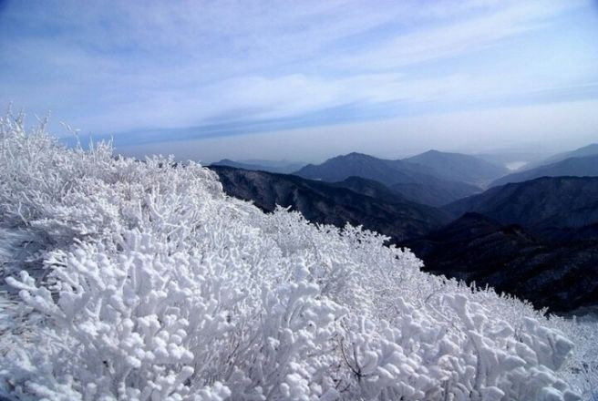 겨울나그네 이미지