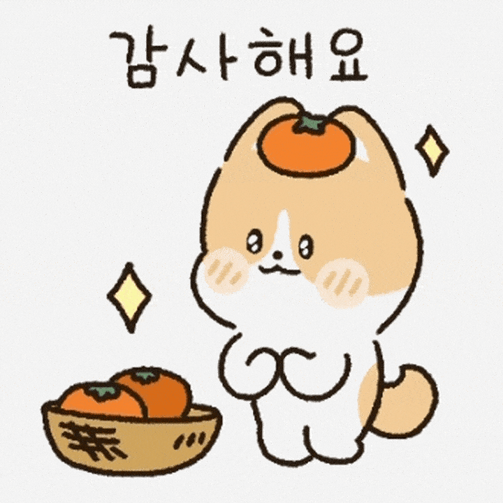 팡팡투어 이미지