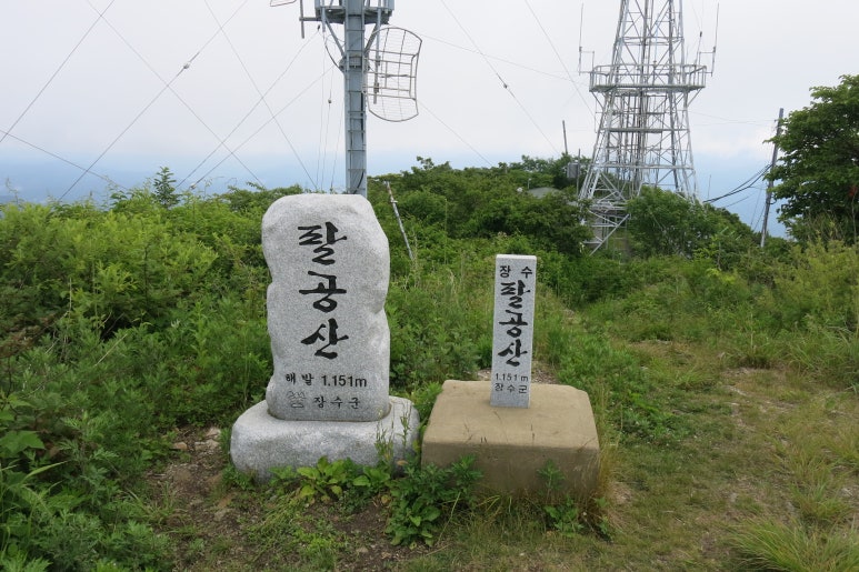 수분재 이미지