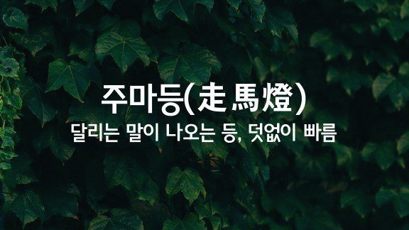 주마등 이미지