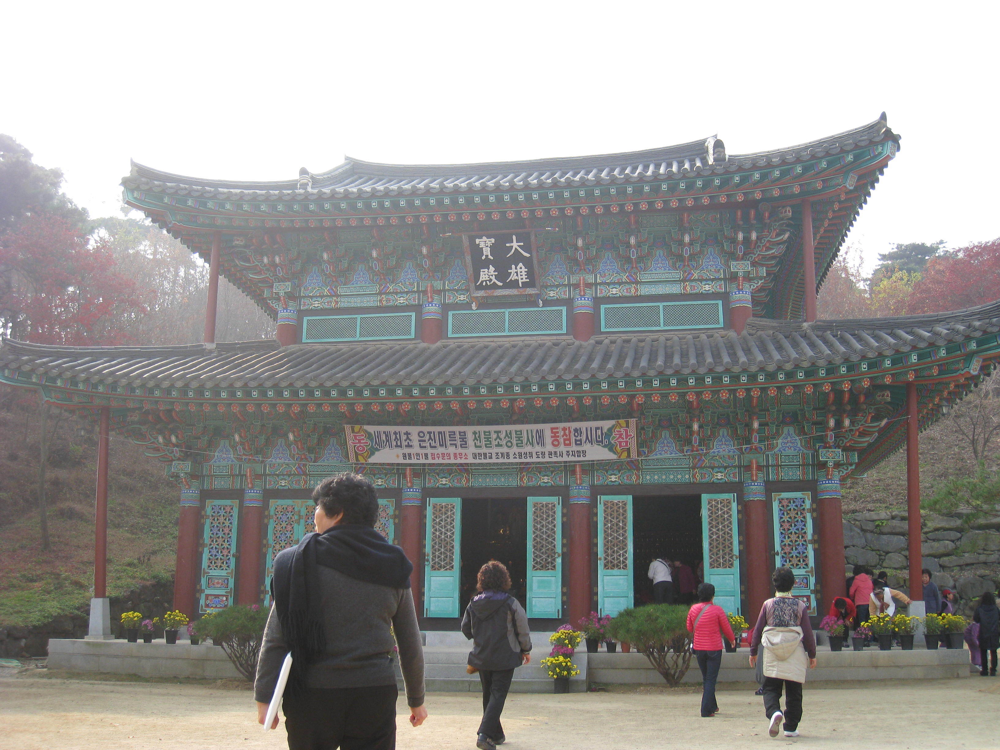 나무와숲 이미지