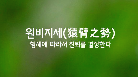 은지세 이미지