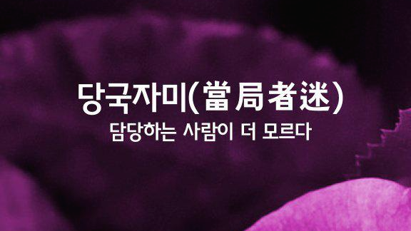 자미 이미지