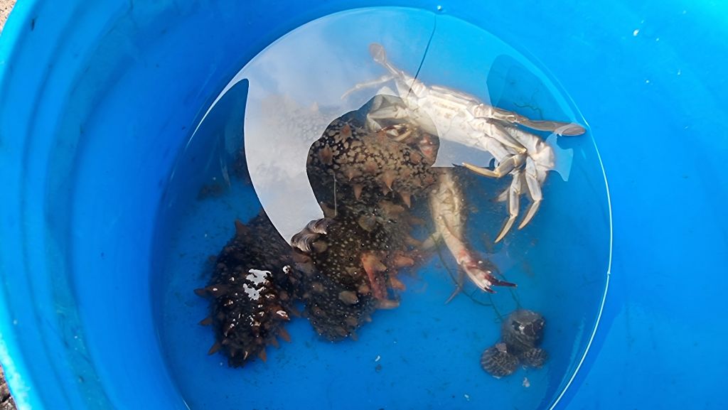 오늘안주 이미지