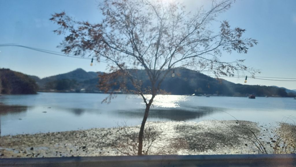 바다의 꿈 이미지