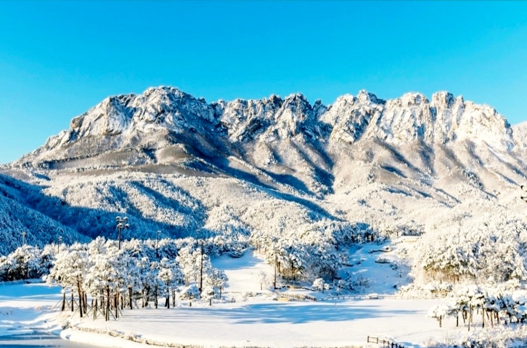 강산 이미지