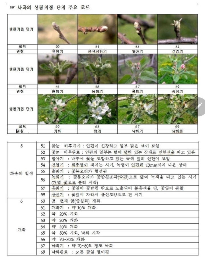 약명 이미지